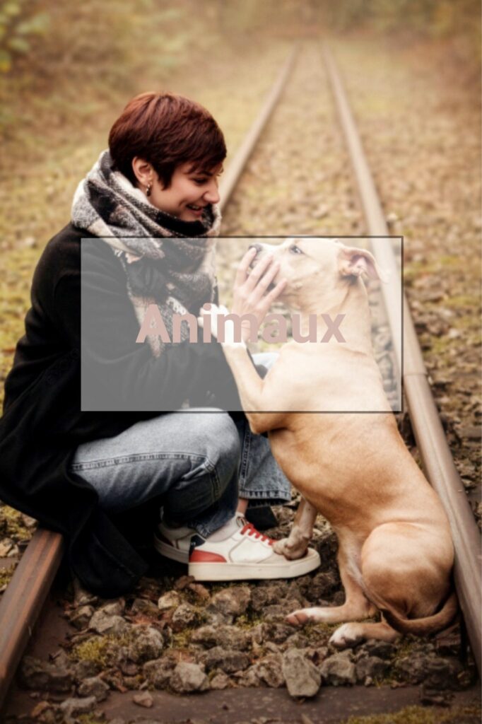 photos animaux seance extérieure